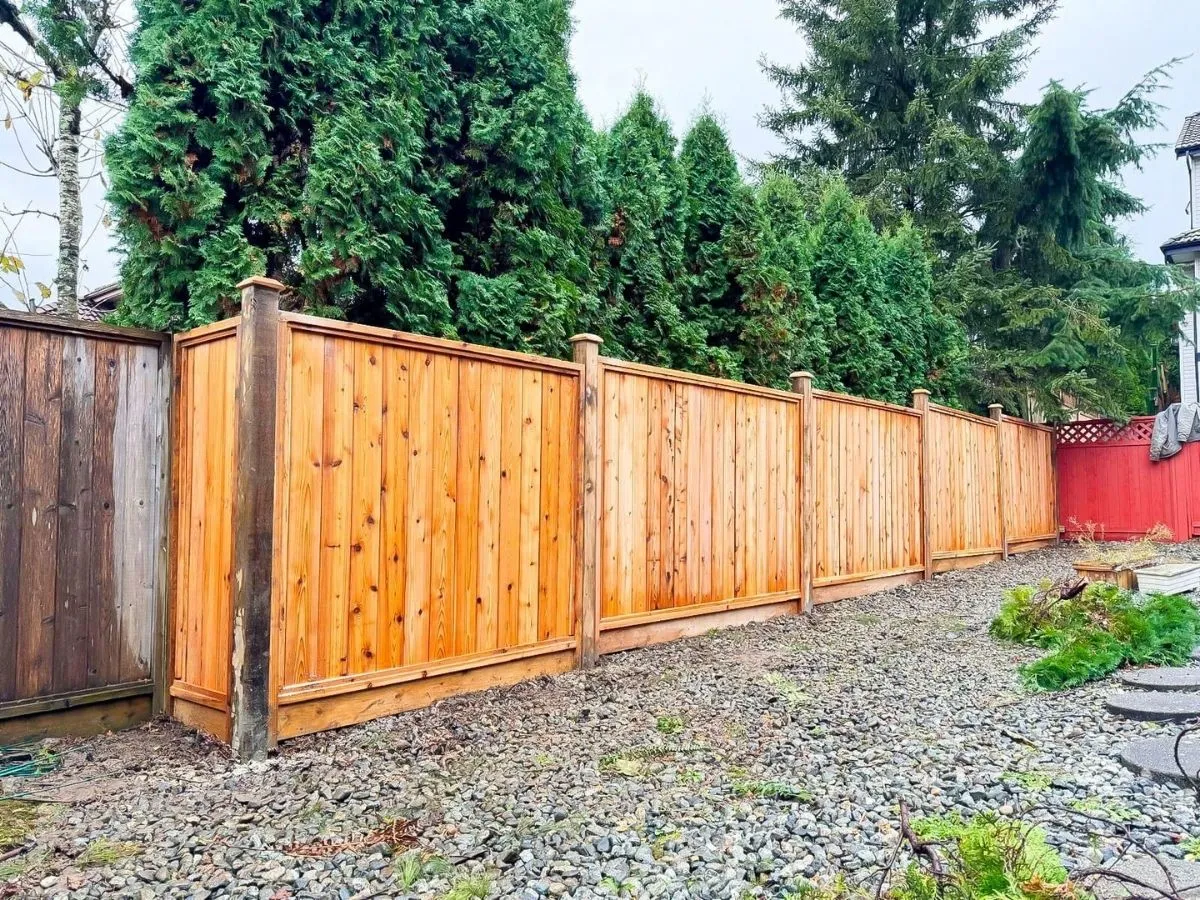 Newly installed cedar panel fence providing privacy and style